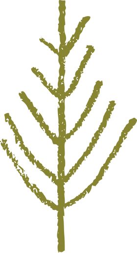 手绘植物