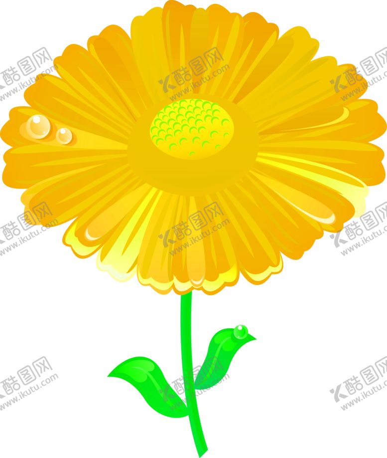 编号：76122707050357015088【酷图网】源文件下载-花素材