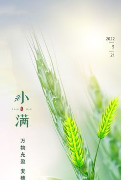 夏至芒种小满房地产麦子传统节气