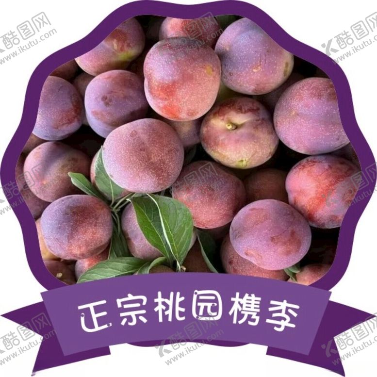 编号：84677501201220126184【酷图网】源文件下载-李子贴纸
