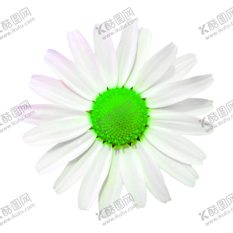 编号：19862610030521114761【酷图网】源文件下载-花素材