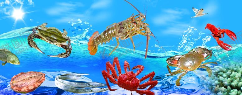 编号：48238309291452405635【酷图网】源文件下载-海鲜