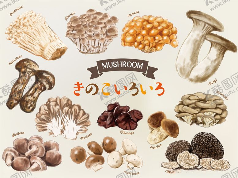 编号：71960511181146215211【酷图网】源文件下载-多样蘑菇展示