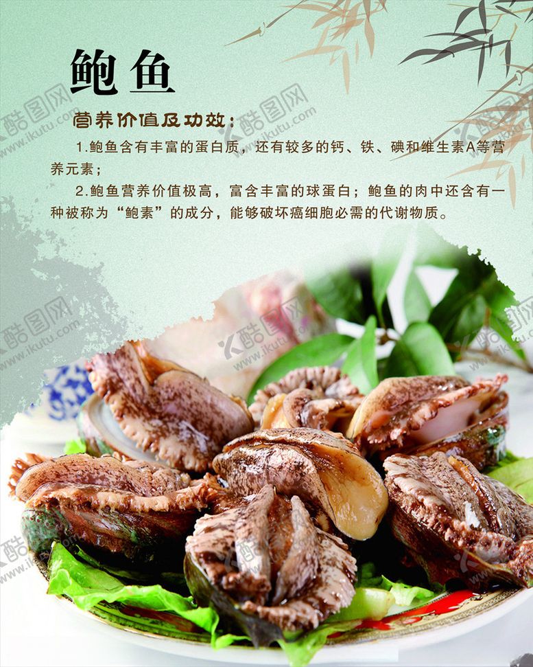 编号：42346309142322479983【酷图网】源文件下载-鲍鱼