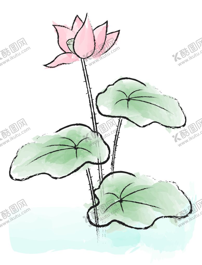 编号：56259702040557542768【酷图网】源文件下载-手绘荷花 