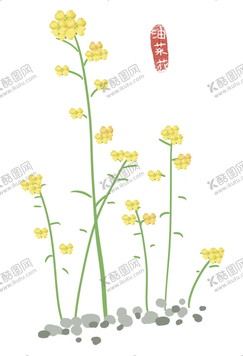 编号：19438204180310557813【酷图网】源文件下载-手绘油菜花素材