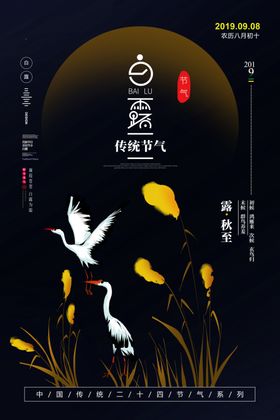 白露模板