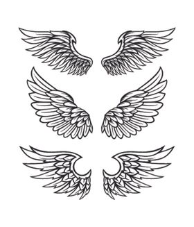 翅膀logo