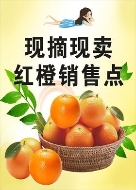 现摘现卖红橙销售点