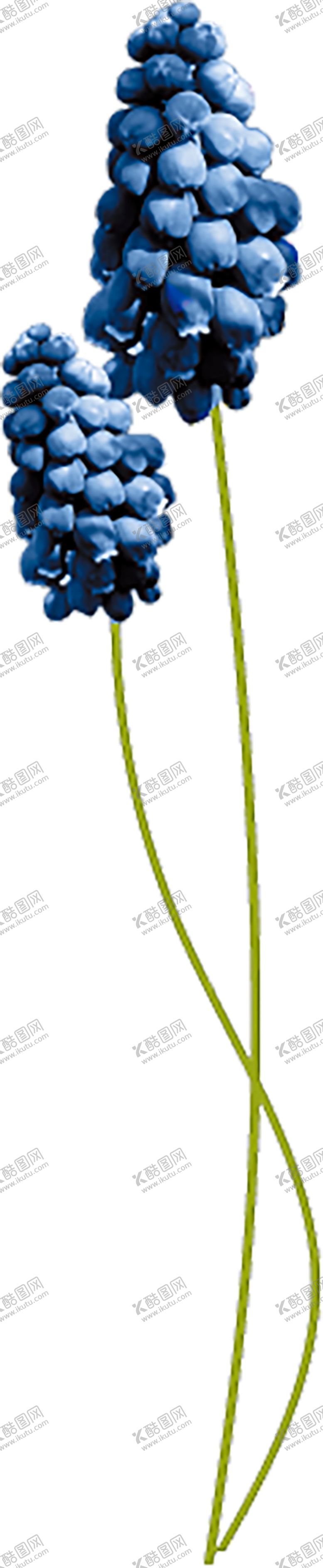 编号：61635807011149244368【酷图网】源文件下载-绿色装饰