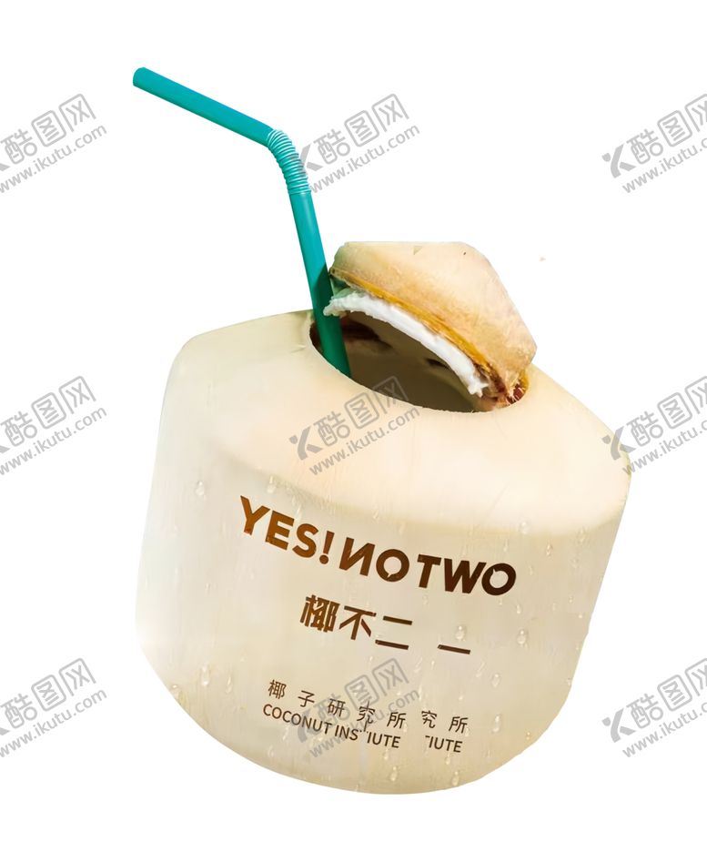 编号：29974502251131443278【酷图网】源文件下载-椰子