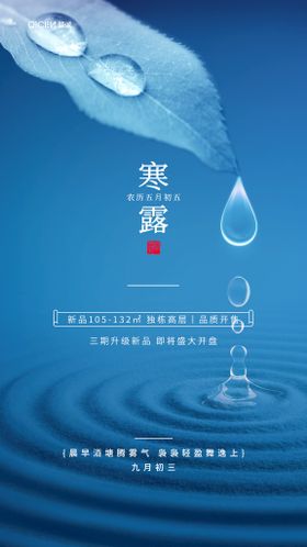  简约意境二十四节气寒露海报