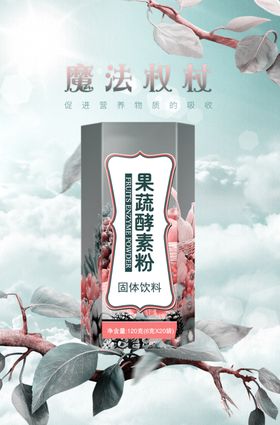 果蔬酵素粉