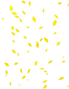 飘落的花瓣