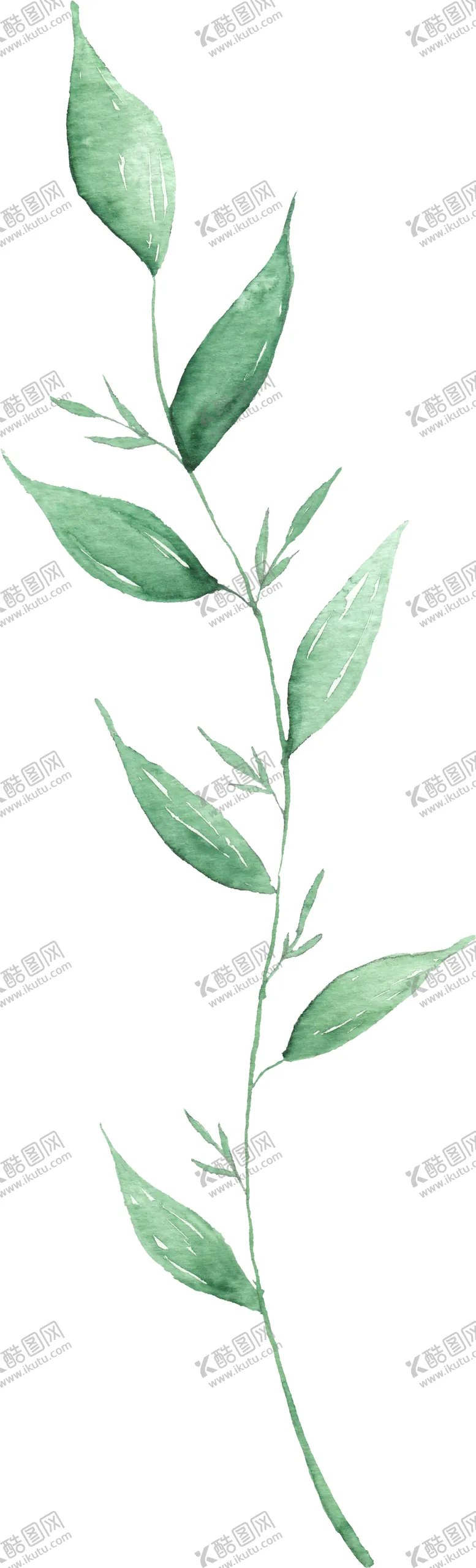 编号：79001906171442442579【酷图网】源文件下载-海报元素花草元素展架元素