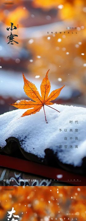 小寒海报