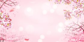 粉色梅花背景