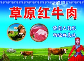 草原红牛牛肉草原美女