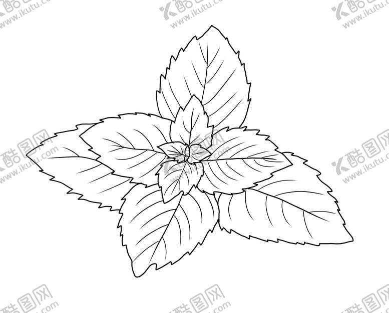 编号：28174509260143156274【酷图网】源文件下载-薄荷