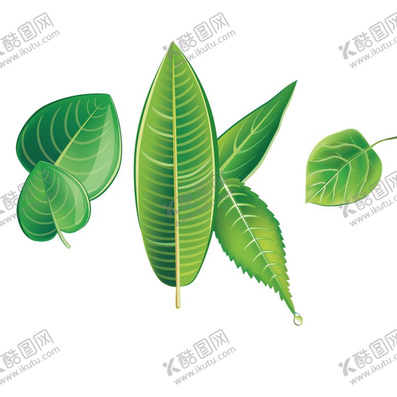 编号：43456109091829272815【酷图网】源文件下载-绿色装饰