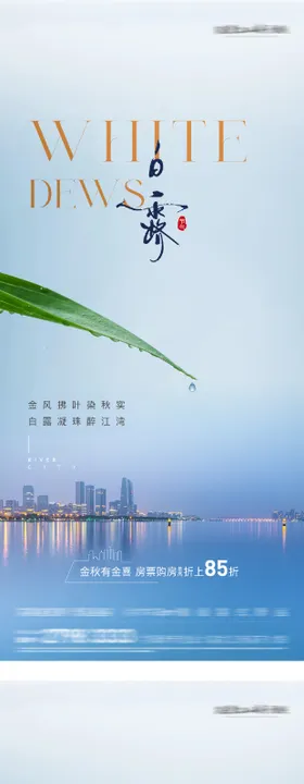 白露节气海报