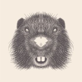 动物铅笔画