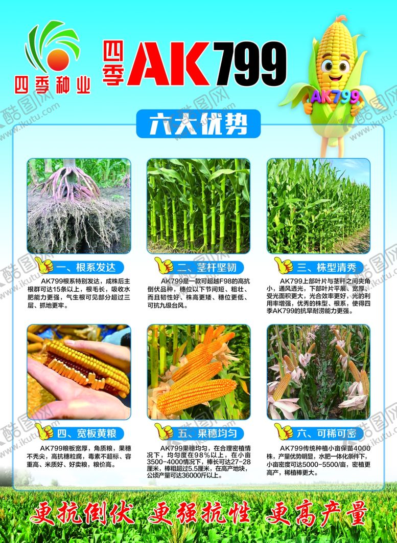 编号：91599004052314184673【酷图网】源文件下载-SAK799大蒜种植宣传页