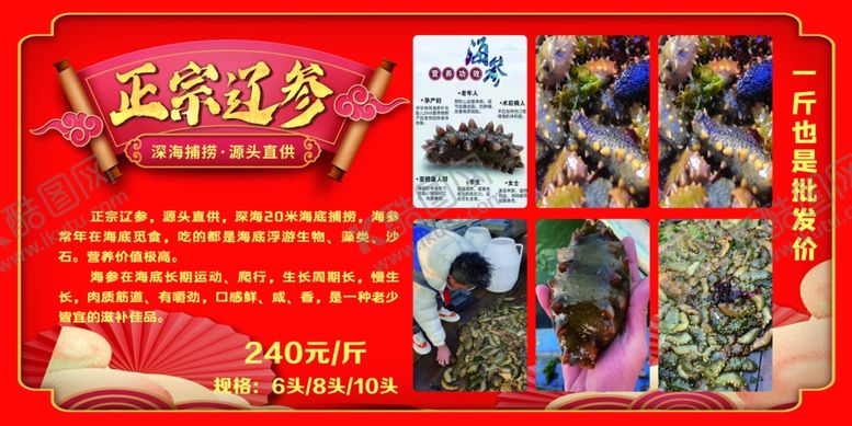编号：79655102051219156055【酷图网】源文件下载-正宗辽参宣传展板