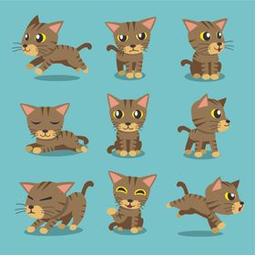 可爱小猫
