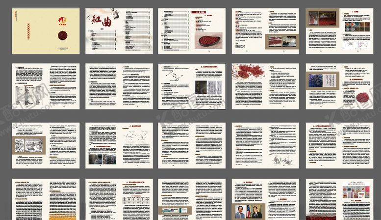 编号：94175110121523358520【酷图网】源文件下载-中药画册