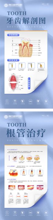 口腔科普系列海报