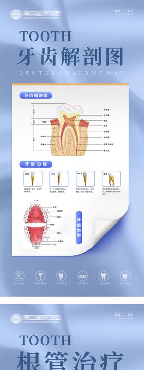 口腔知识科普涂氟流程常见问题海报