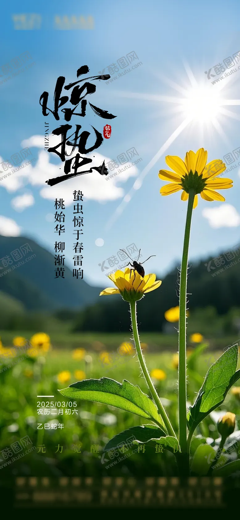 编号：43288002202314024211【酷图网】源文件下载-简约风景惊蛰节气海报