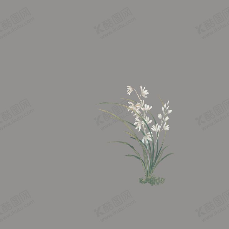 编号：48763010101412068519【酷图网】源文件下载-玉兰花