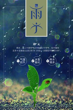 雨水海报地产稿地产二十四节气