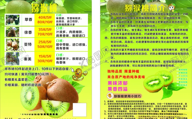 编号：82239305070336042150【酷图网】源文件下载-猕猴桃奇异果猕猴桃采摘猕