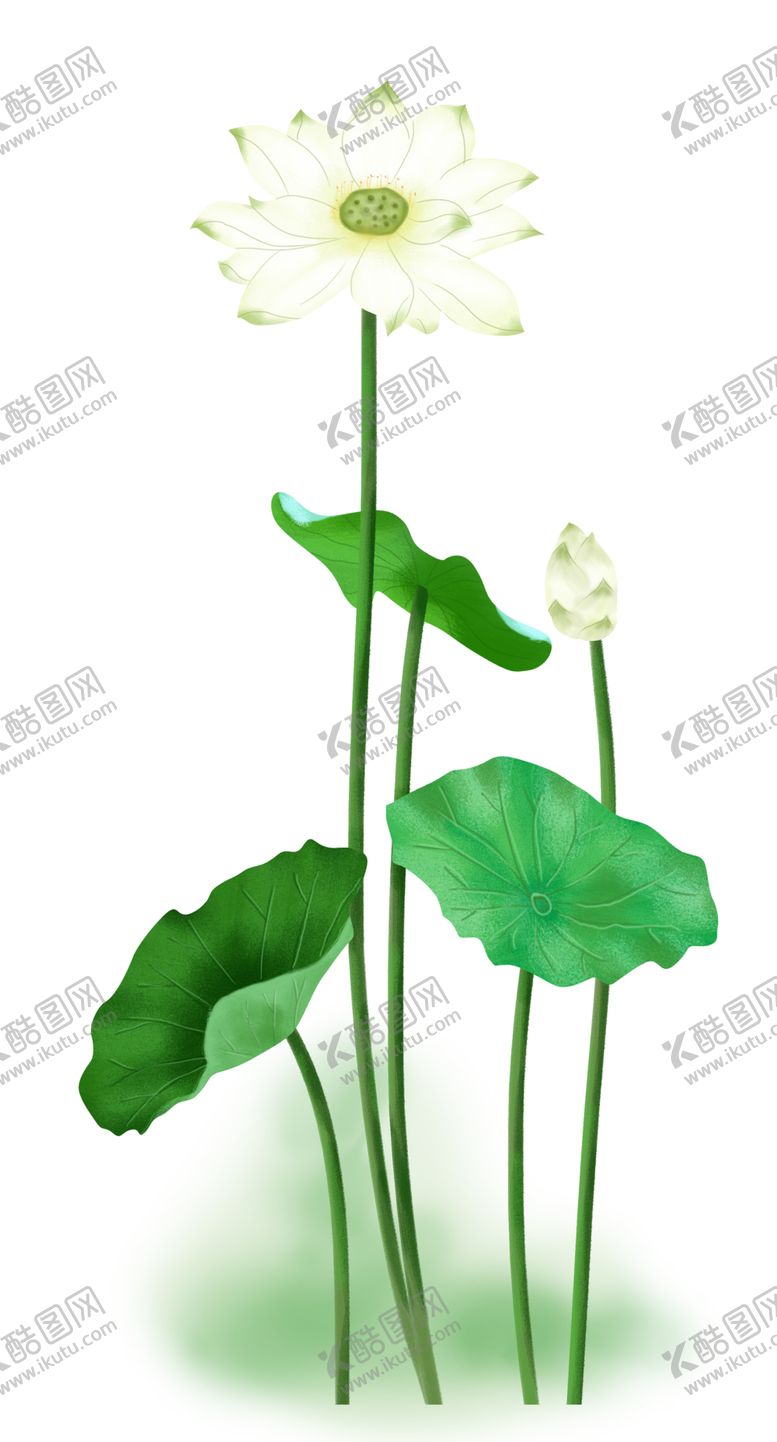 编号：83602604172014458597【酷图网】源文件下载-荷花元素
