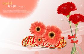 母亲节康乃馨韩式海报