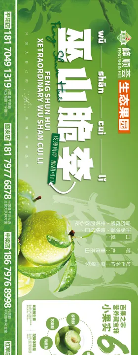 源生态水果海报下载