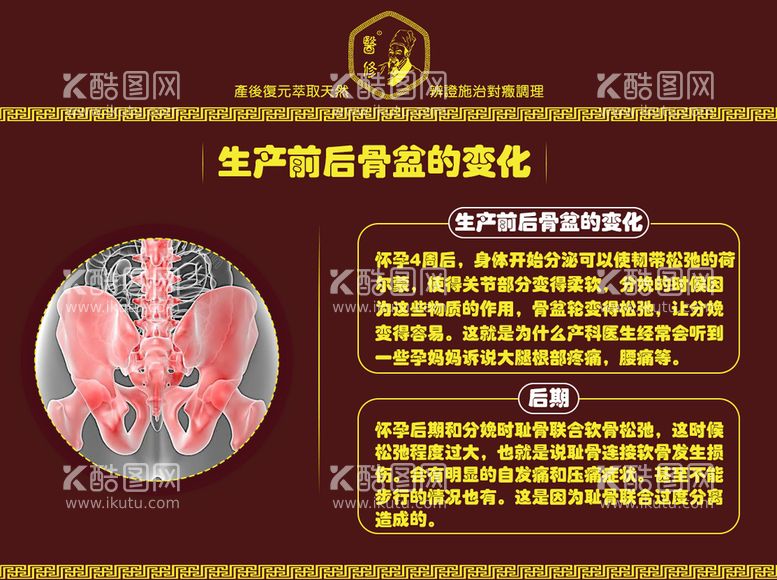 编号：89461411150741306962【酷图网】源文件下载-生产前后骨盆的变化