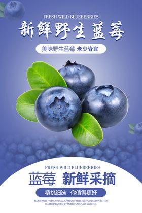 蓝莓海报