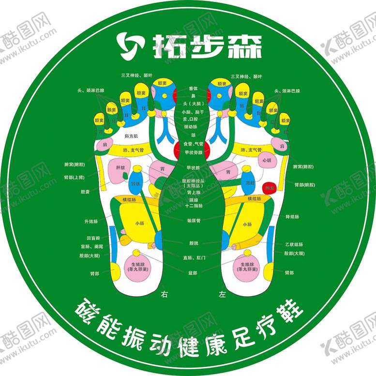 编号：47319009180121487326【酷图网】源文件下载-拓步森足疗鞋