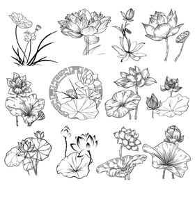 水墨荷花花卉线稿素材