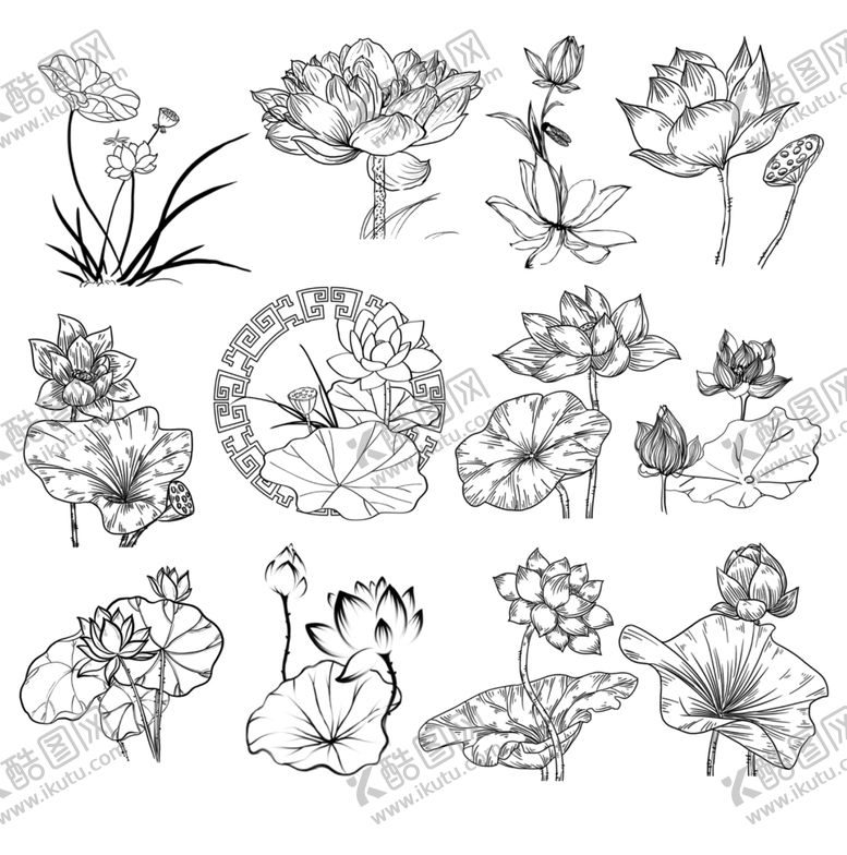 编号：69724004051017485724【酷图网】源文件下载-水墨荷花花卉线稿素材