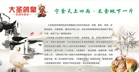 鸽子海报