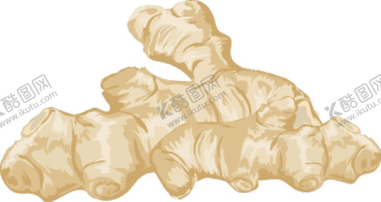 编号：19343610281552209992【酷图网】源文件下载-生姜png