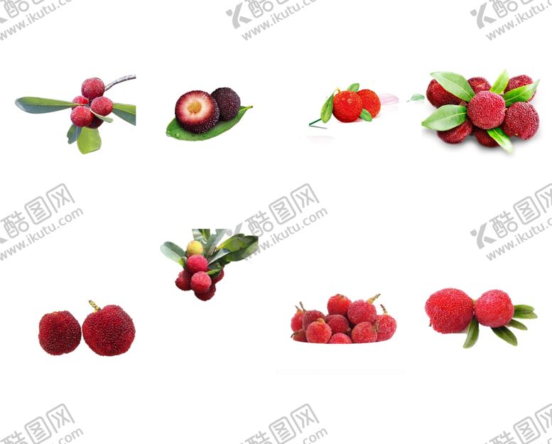 编号：54574610162145074092【酷图网】源文件下载-杨梅