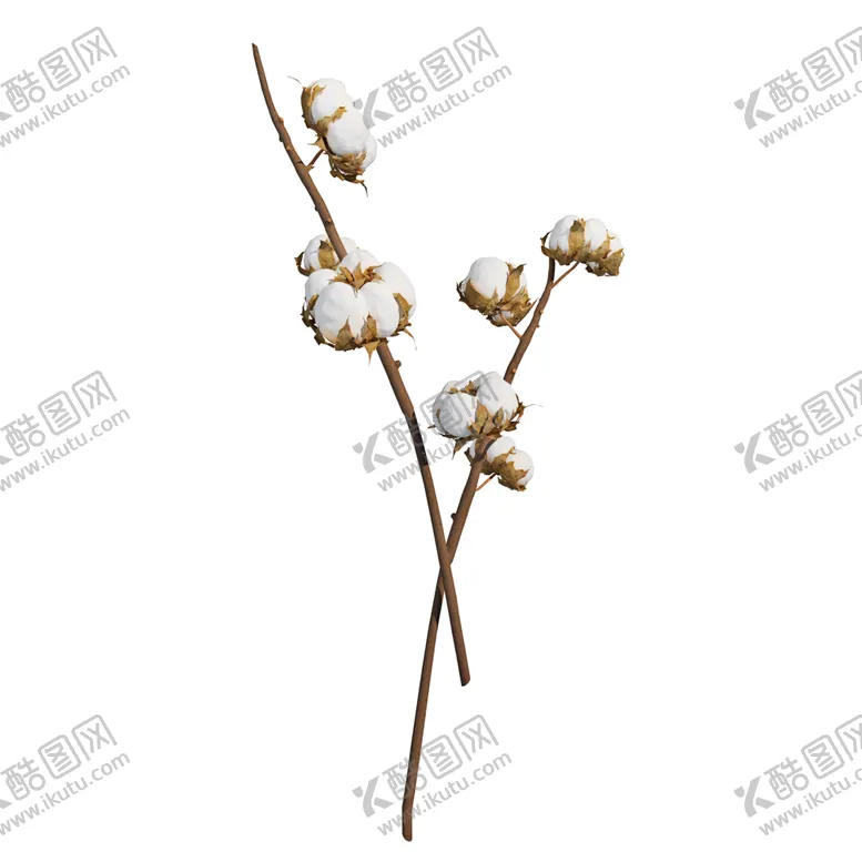 编号：32278007030520219144【酷图网】源文件下载-免抠背景干花枯花