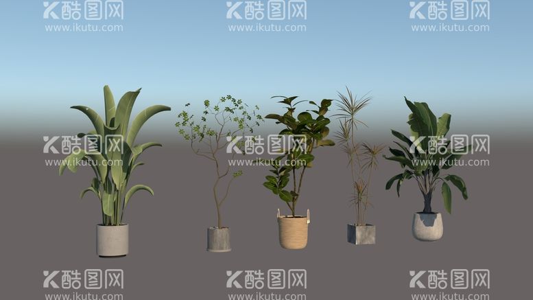 编号：47018712200637477941【酷图网】源文件下载-盆栽植物模型