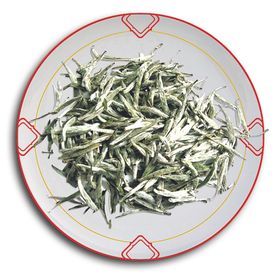 福鼎白茶-白毫银针品种